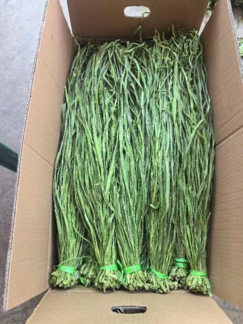 江苏优质贡菜干，品质保证价格真实，支持视频看货选购