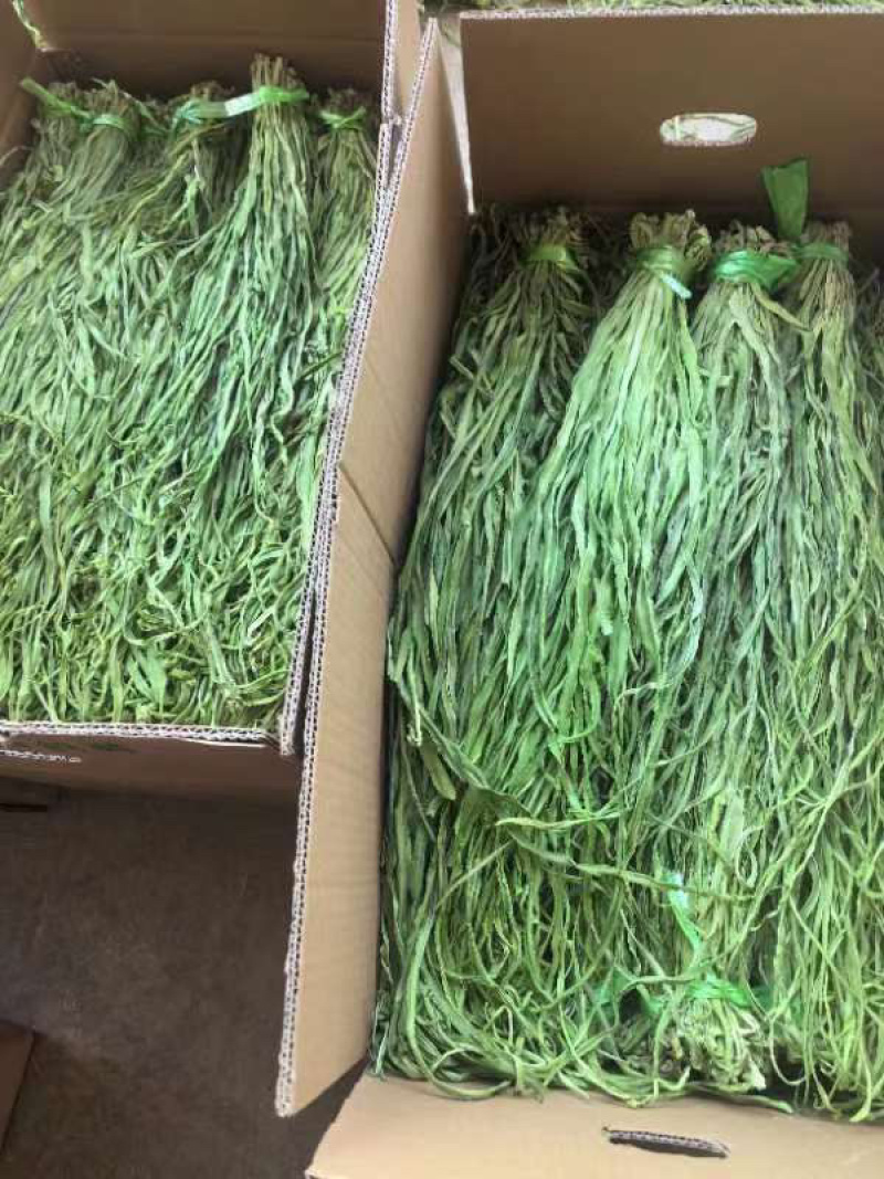 江苏优质贡菜干，品质保证价格真实，支持视频看货选购