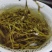 芽尖藤茶特价清仓
