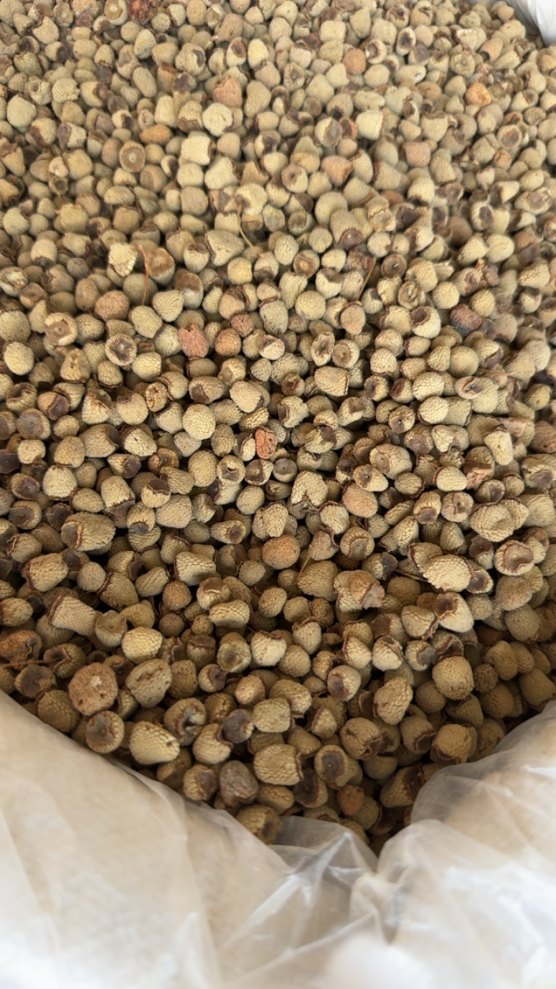 覆盆子，山东弘舜中药材直供，品种齐全…欢迎下单。