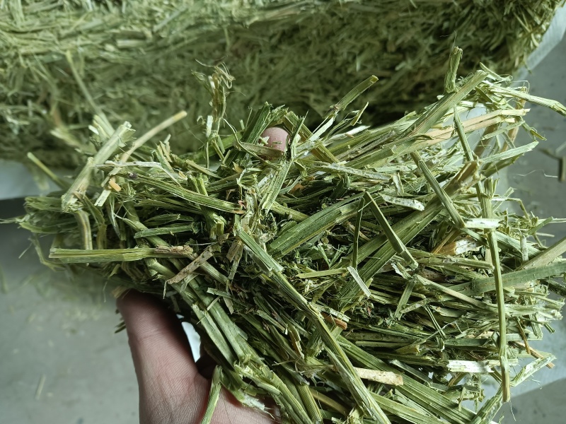 牛羊苜蓿草料精品加密小包专为中小养殖户朋友们量身定制