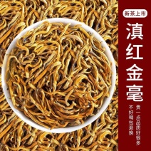 特级滇红金毫2023新茶叶正宗明前头采浓香耐泡蜜香养胃型