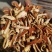 陈皮好统货陈皮泽润中药批发零售各种中药材