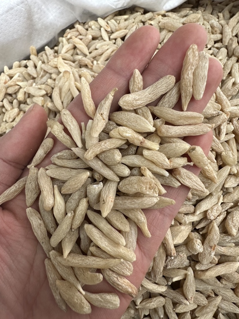 精品川麦冬无熏染可泡水可煲汤无硫批发零售各种规格中药材
