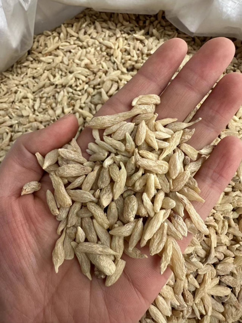 精品川麦冬无熏染可泡水可煲汤无硫批发零售各种规格中药材