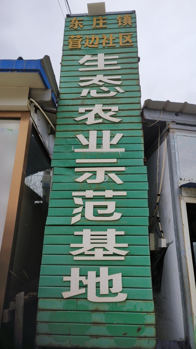 莆田沙地千禧