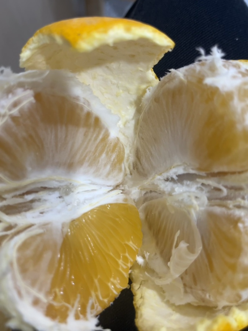 高山胡柚皮薄肉厚汁水多