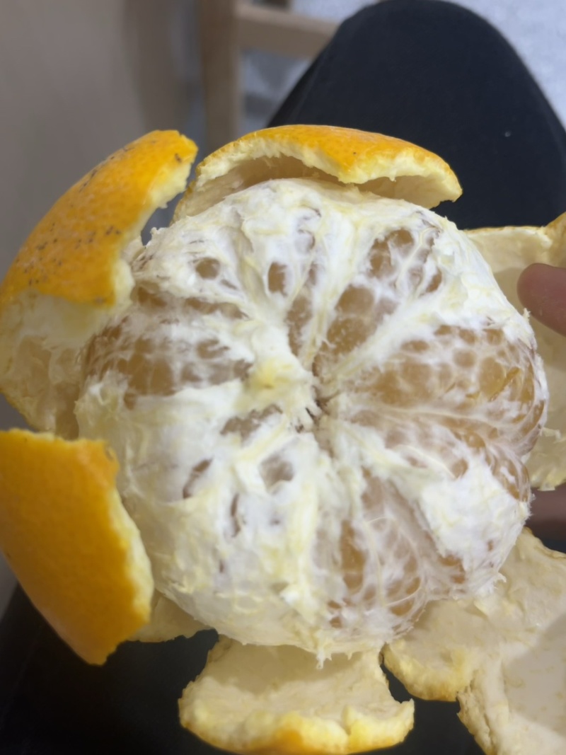 高山胡柚皮薄肉厚汁水多