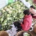 陕西省城固县菜花大量上市了。花白，紧，价格合适。全国接单