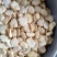 【热销】蚕豆崇礼蚕豆，饲料蚕豆，鱼饲料