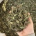 地丁紫花地丁实物拍摄发货如图发货前过筛