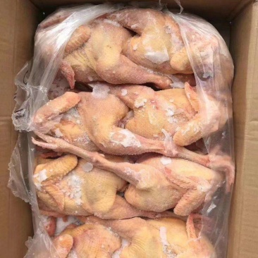 一级三黄鸡7-8-9只有货，纯干货，全净膛，出秤没问题，
