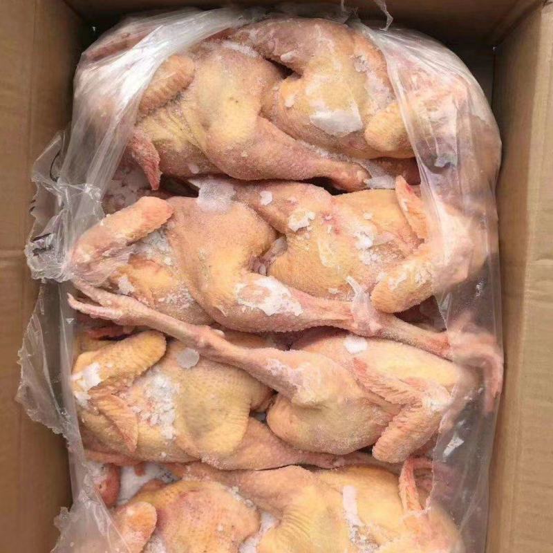 一级三黄鸡7-8-9只有货，纯干货，全净膛，出秤没问题，