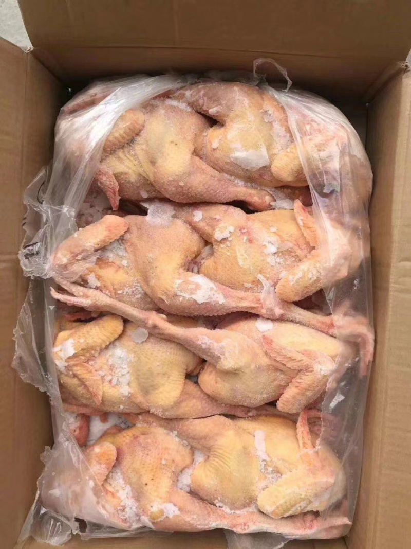 一级三黄鸡7-8-9只有货，纯干货，全净膛，出秤没问题，