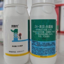 表芸赤霉素