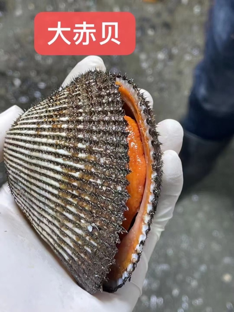 大家好，刺身甜虾大量有货，需要的老板赶紧下手吧