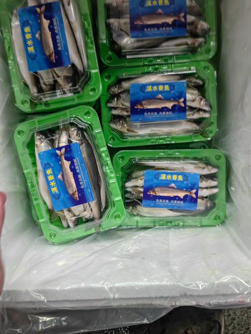 大家好，刺身甜虾大量有货，需要的老板赶紧下手吧