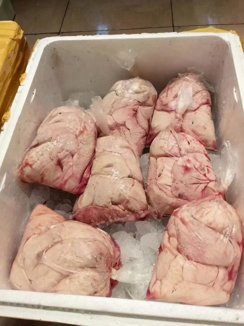 大家好，刺身甜虾大量有货，需要的老板赶紧下手吧