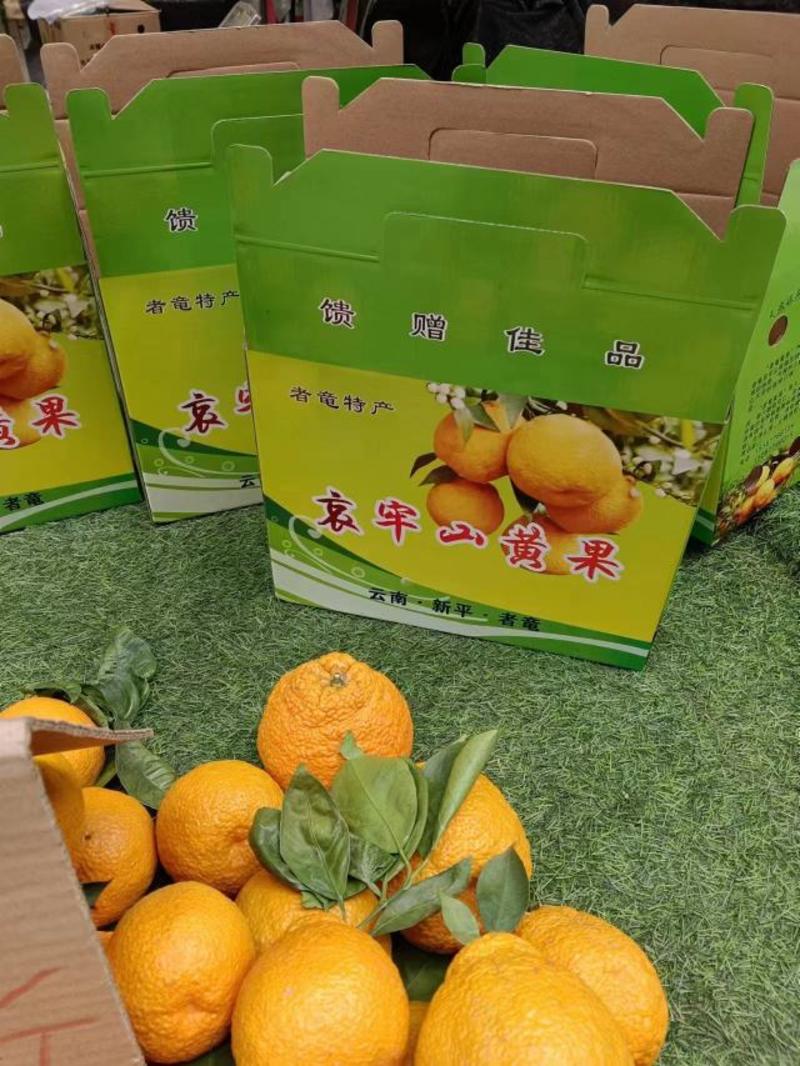 云南黄果柑大量供应保质保量对接全国市场量大从优欢迎咨询