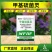 甲基硫菌灵70%杀菌剂甲基托布津黄瓜白粉病菌核病叶霉病
