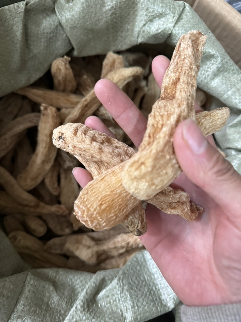 天麻个天麻无硫天麻云南昭通天麻实拍天麻片