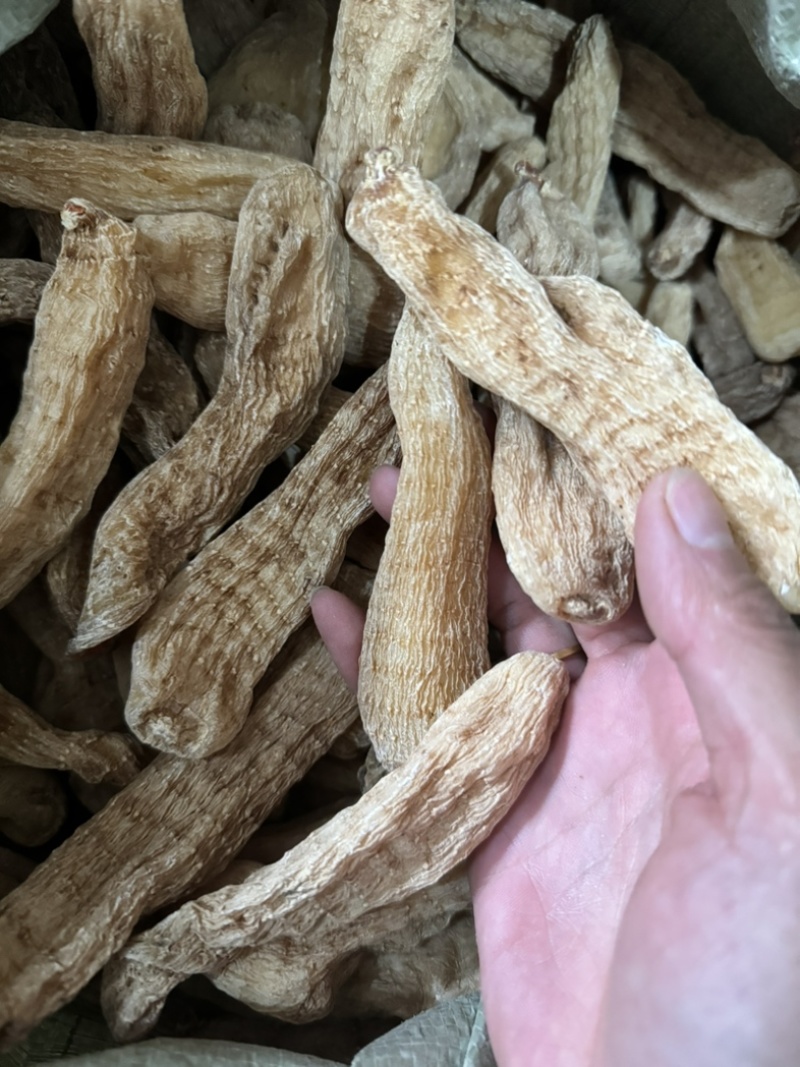 天麻个天麻无硫天麻云南昭通天麻实拍天麻片