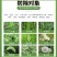 好收成银收成草甘膦铵盐33%草甘膦荒地百合田非耕地除草