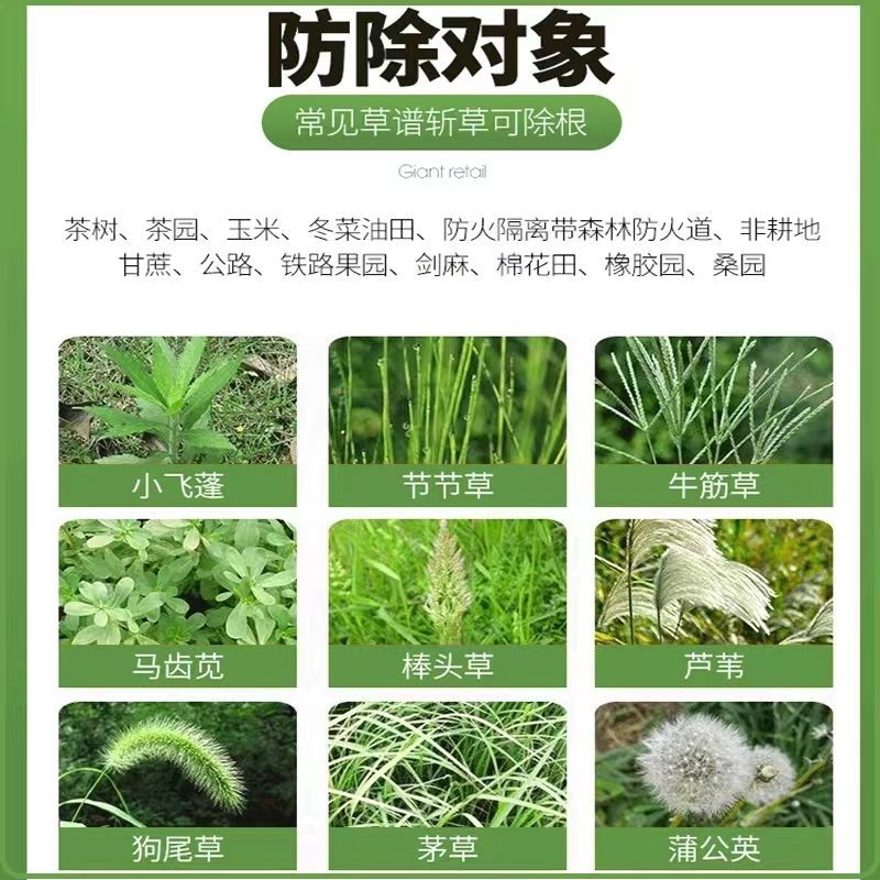 好收成银收成草甘膦铵盐33%草甘膦荒地百合田非耕地除草