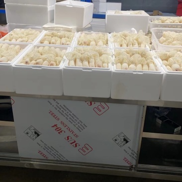 红托竹荪干货安徽基地批发可长期供应品质保证电联