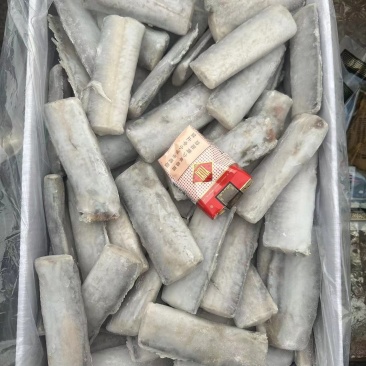 单冻带鱼段，中断，去头去尾，肉厚16斤一件