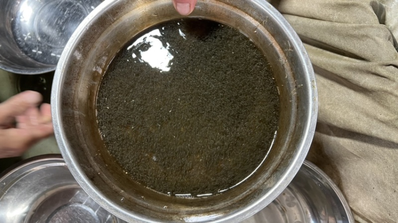 鲫鱼苗水花，时价，合适的联系
