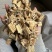 芦根苇根肉厚正品芦根小芦根过筛货现货货漂亮
