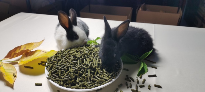 宠物兔粮零售批发
