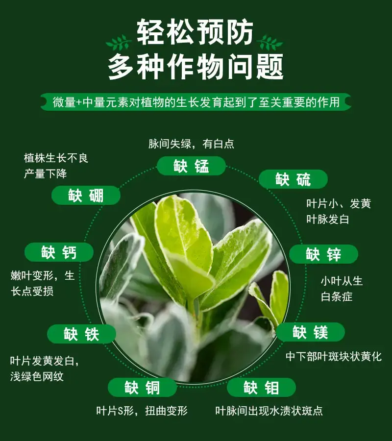 植物营养液，通用型，全面营养，调节生长，全国发货量大优