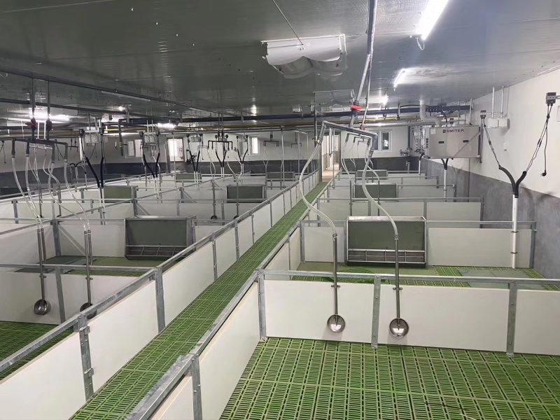 羊猪漏粪板复和板塑料地板漏粪板大量供应厂家直发