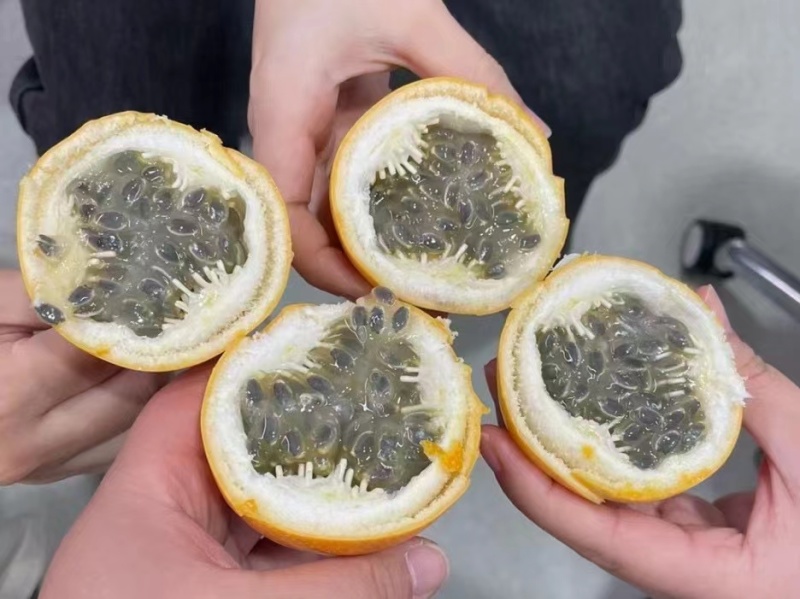热情果
