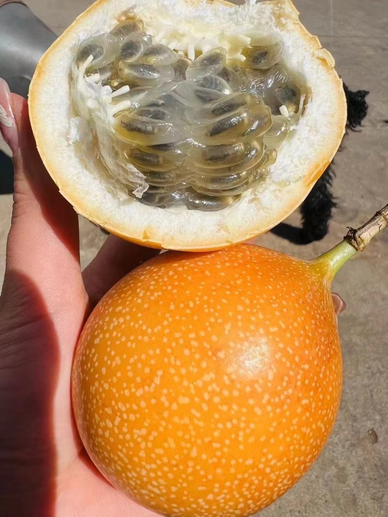 热情果
