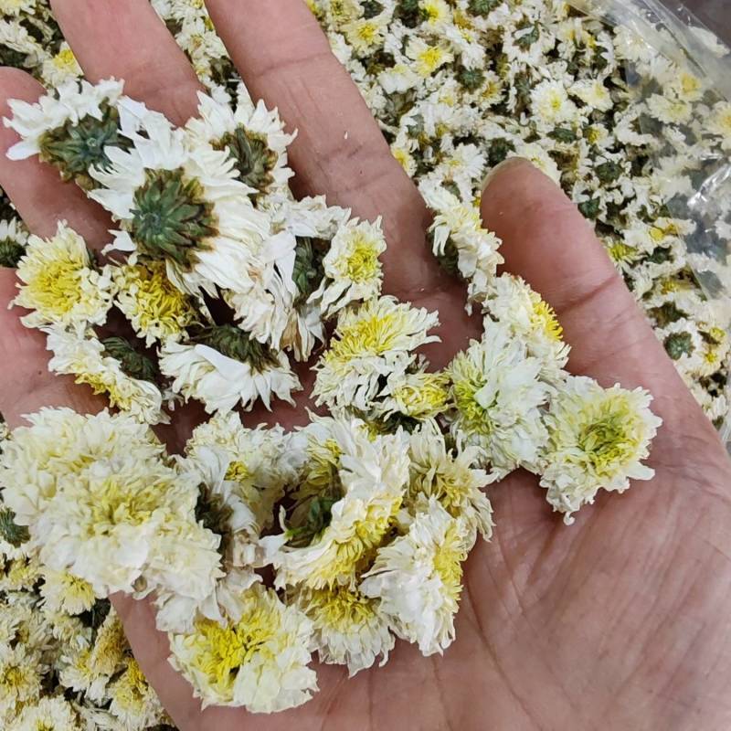 .批发黄山贡菊花500克茶花草茶花果茶菊花茶泡水干货