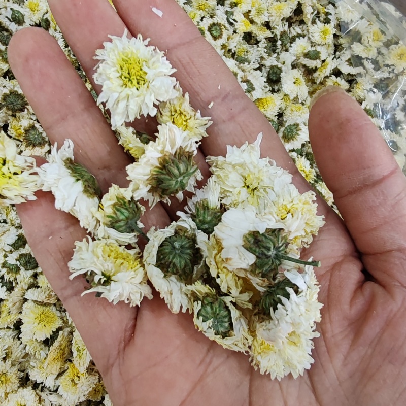 .批发黄山贡菊花500克茶花草茶花果茶菊花茶泡水干货