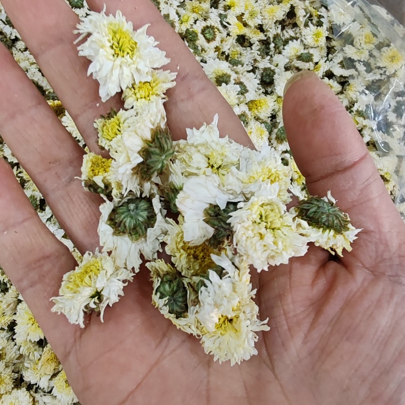 .批发黄山贡菊花500克茶花草茶花果茶菊花茶泡水干货