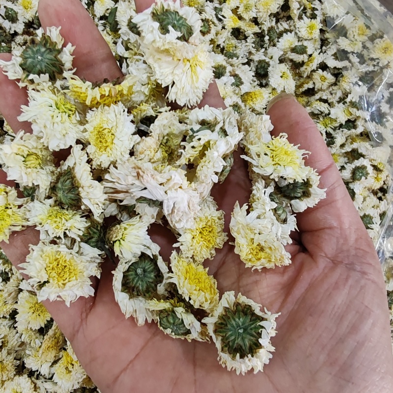 .批发黄山贡菊花500克茶花草茶花果茶菊花茶泡水干货