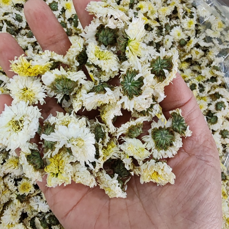 .批发黄山贡菊花500克茶花草茶花果茶菊花茶泡水干货