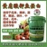 黄腐酸钾鱼蛋白，多生根，厂家发货，货源充足