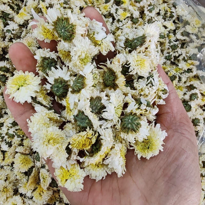 .批发黄山贡菊花500克茶花草茶花果茶菊花茶泡水干货