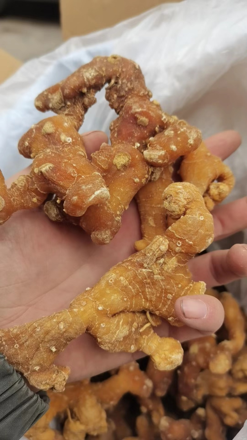 黄精，老虎姜，深山采挖，非种植货