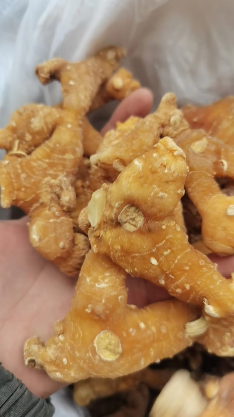 黄精，老虎姜，深山采挖，非种植货