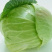 湖北奥奇娜甘蓝包菜大量新鲜供应，产区直发量大从优