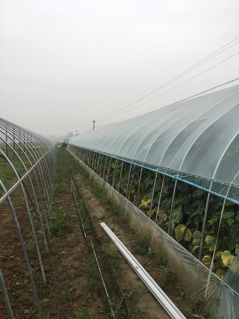 养殖大棚特价促销尺寸齐全包含覆盖层全国发货包建