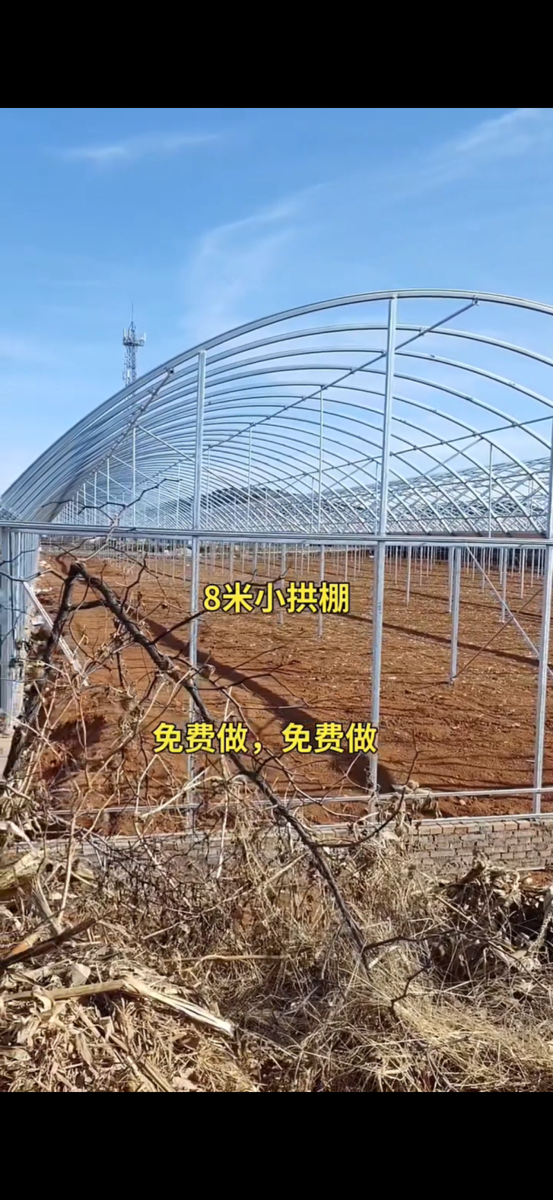 蔬菜种植温室大棚尺寸齐全带大棚膜全国发货包建