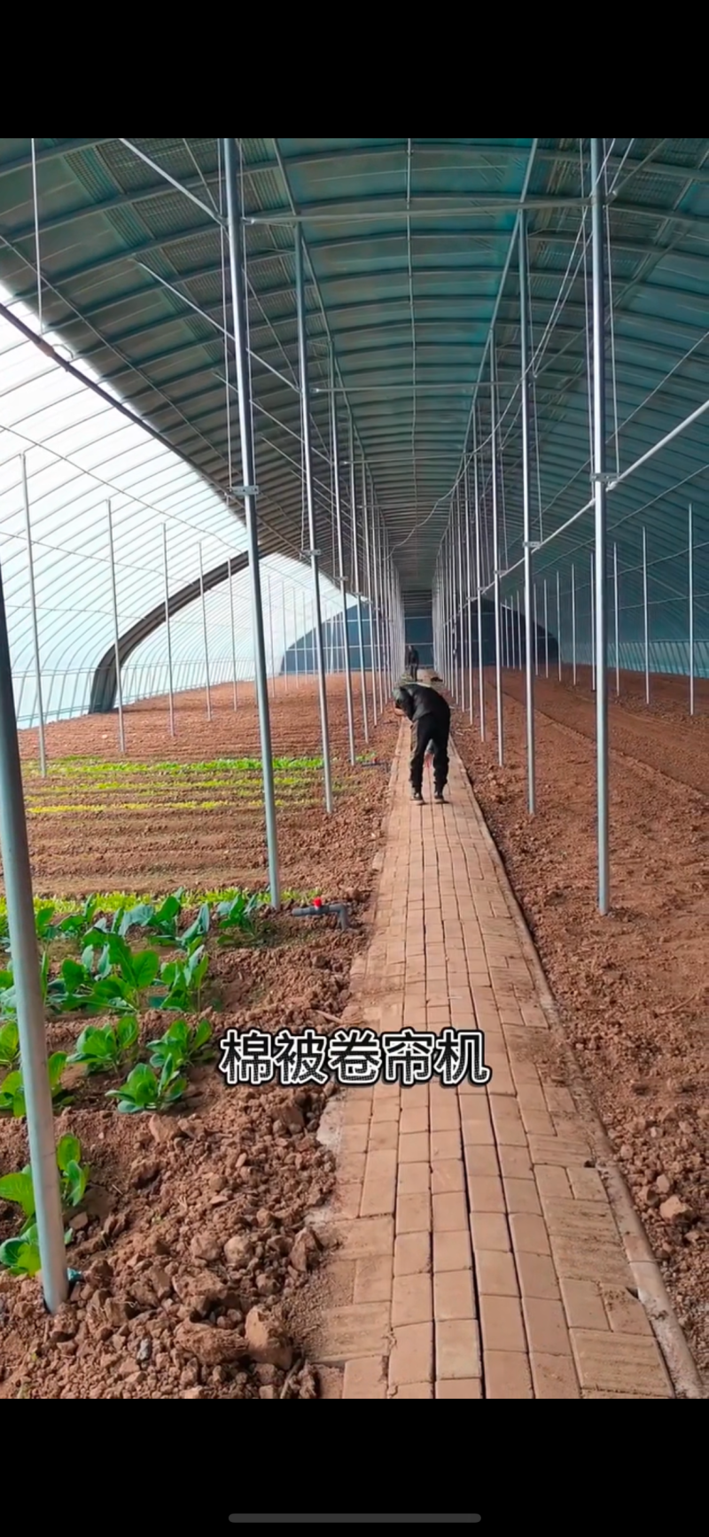 专业生产养猪大棚养羊棚蔬菜种植大棚全国发货